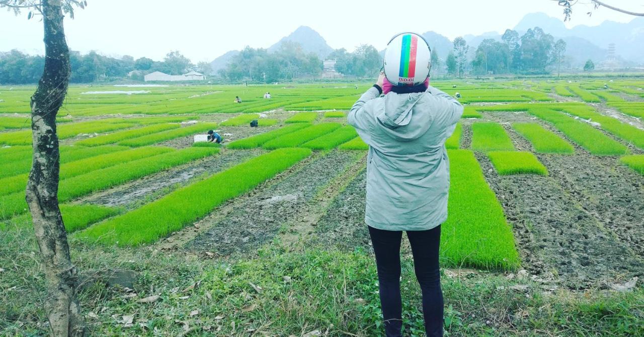 Sunny Trang An Homestay Ninh Bình Exteriör bild