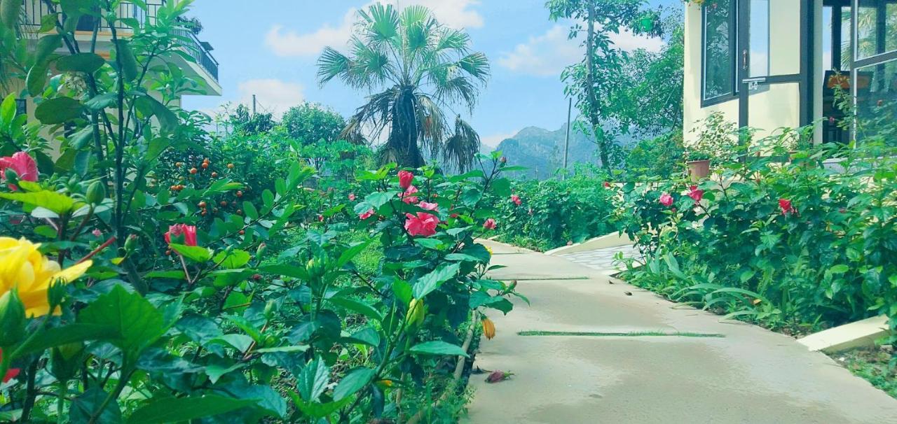 Sunny Trang An Homestay Ninh Bình Exteriör bild